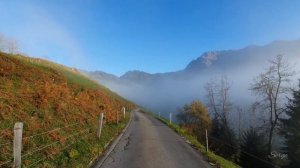 Где-то стелится #туман пелена