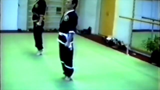 Занятие по жесткому цигун у мастера Хвинь Нгок Ан 1992г. смотреть онлайн