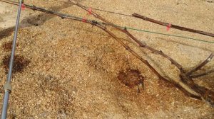 Первая профилактическая обработка Купроксатом