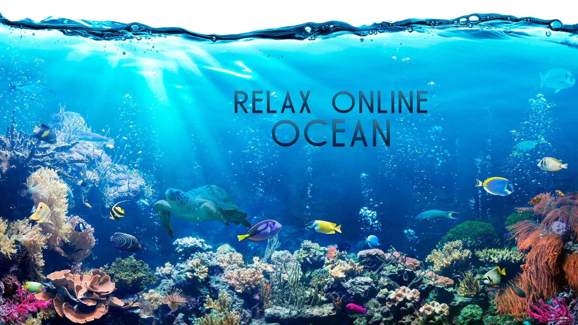 Релакс Онлайн. Подводный Мир. Океан. смотреть онлайн