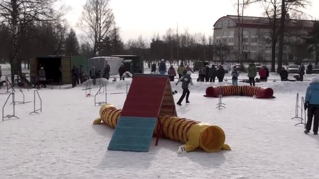 Первоапрельское аджилити, 30.03.13 г., СПб, Пискаревская v03 смотреть онлайн