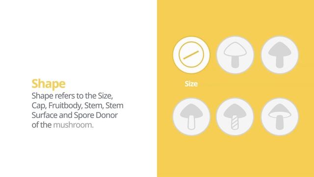 Early morel (Verpa bohemica) | Shape | Practical Short Profile | Shroomers смотреть онлайн