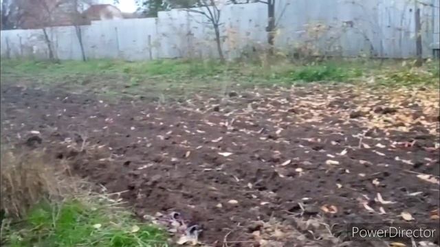 Ремонт и отдых нам только снится. смотреть онлайн