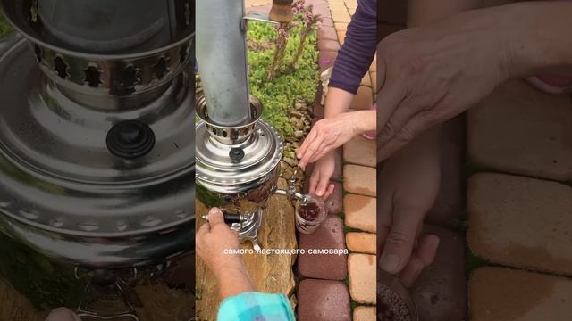 Солнечный день на Даче ? смотреть онлайн
