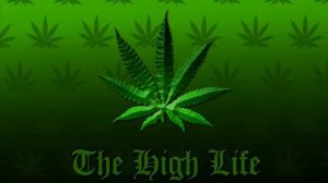 Я растамана узнаю издалека