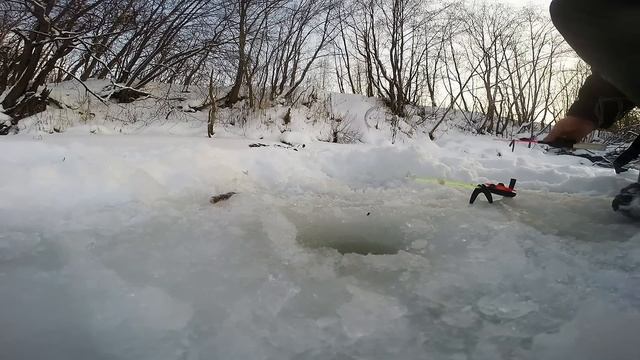 Уклейка. Малые речки. Река Меза. 10.01.2015. смотреть онлайн