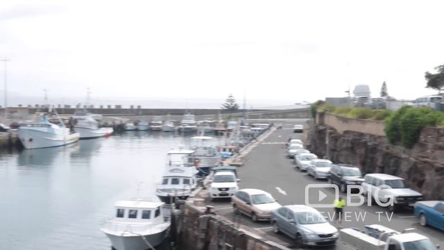 Restaurant | NSW | Bombora Seafood | 2500 | Big Review TV | Platinum смотреть онлайн