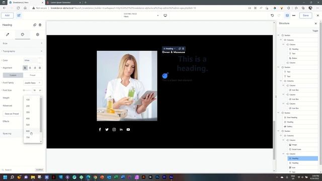 Owner Bio Section | Let's Do Breakdance v1 Alpha 2 смотреть онлайн