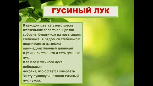 Урок № 4. Окружающий мир. Весеннее пробуждение растений. смотреть онлайн