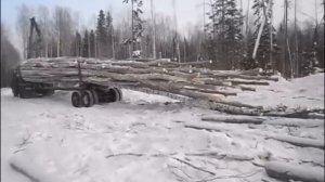 Погрузка вывозка разгрузка леса в хлыстах