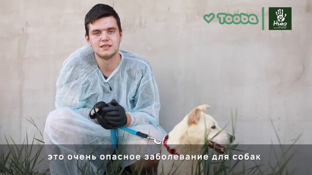 БФ "НИКА", отчет по сбору на платформе Tooba: средства для обработки смотреть онлайн