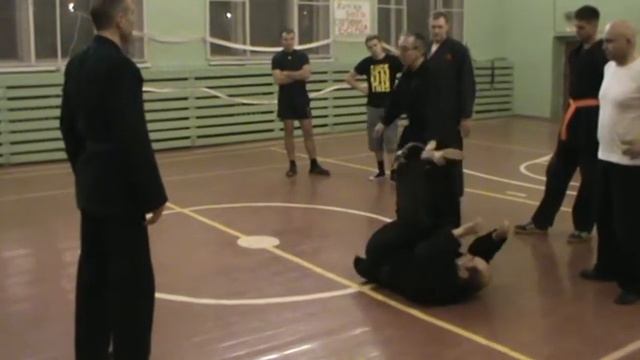 феникс джиу джитсу 3