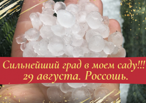 Сильнейший град в моем саду. 29 августа. Россошь..mp4