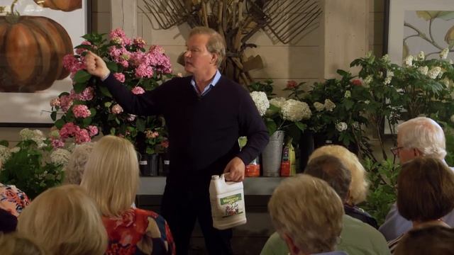 Hydrangeas | Growing Tips & FAQ: Garden Home VLOG (2019) 4K смотреть онлайн