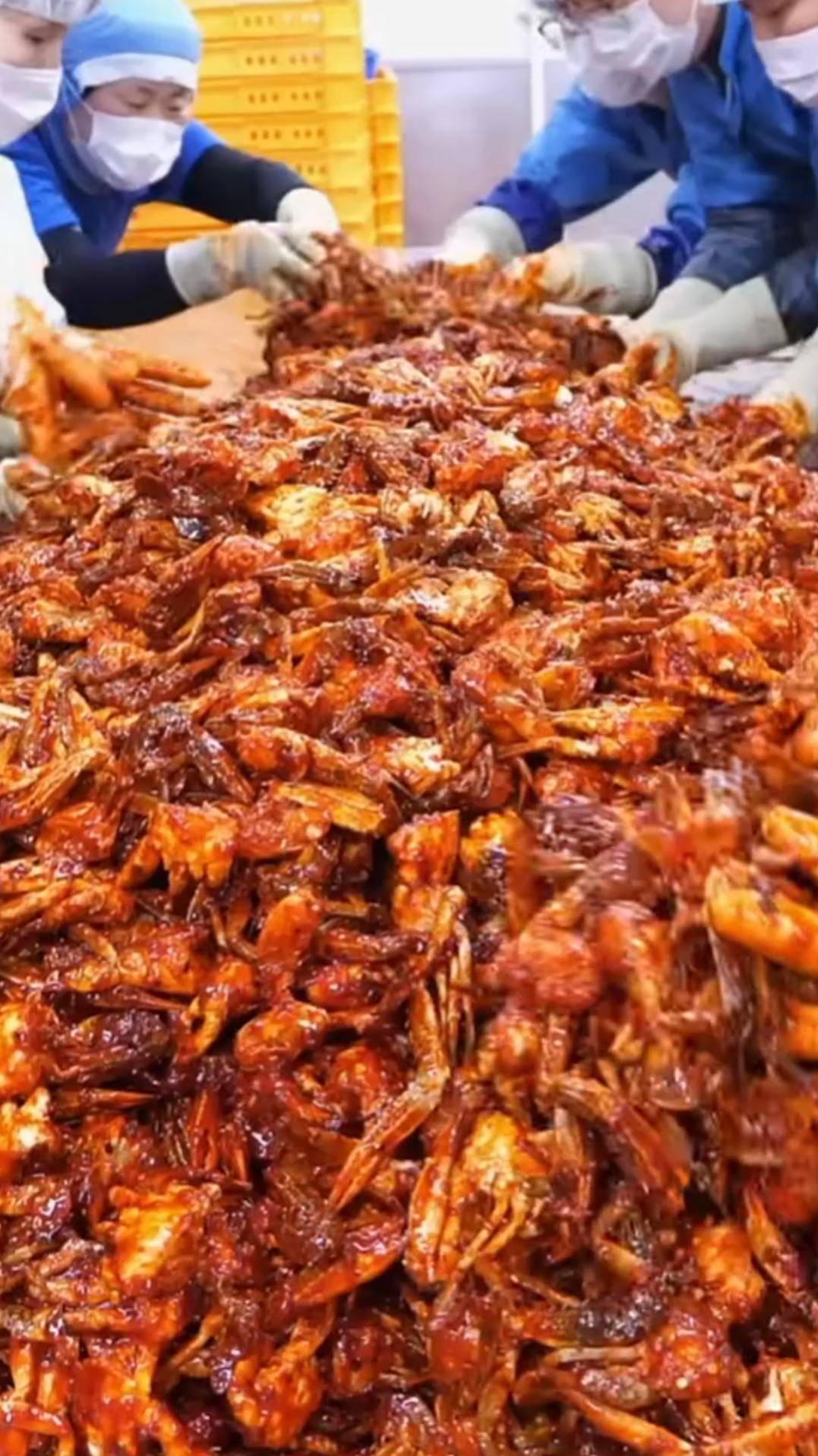 Молодые крабы в специях #shorts #крабы #специи смотреть онлайн