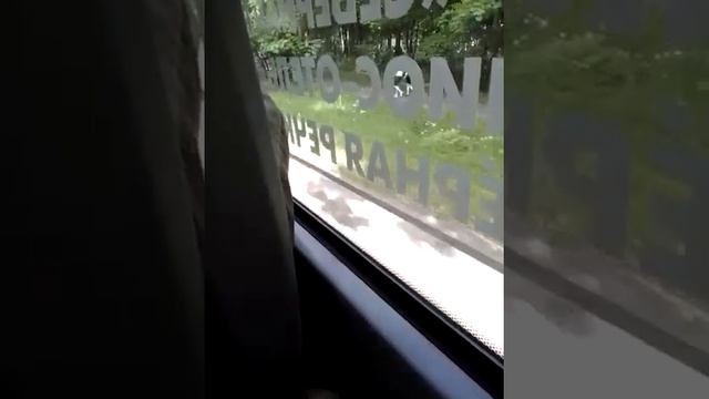 Возвращение из Зеленогорска в Спб сер.1 маршрутка N400.Маршрут вдоль пляжей Солнечного Зеленогорска смотреть онлайн