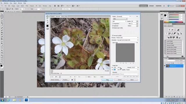 Resize & Optimize Images in Photoshop for Website смотреть онлайн
