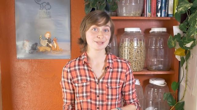 How To Get A Career Working With Animals смотреть онлайн