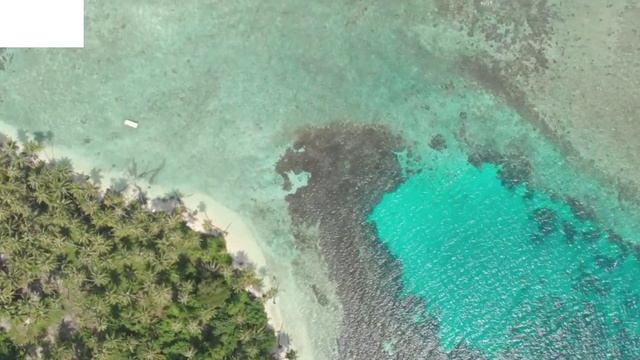 Планета ЗЕМЛЯ | Почему Жизнь Возможна ТОЛЬКО Здесь ? Планеты Солнечной Системы #3 смотреть онлайн