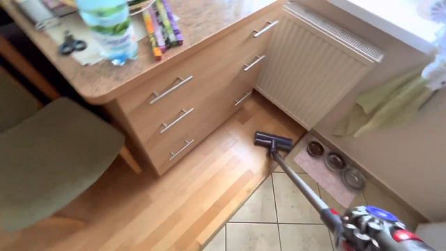 Как чихуахуа реагирует на пылесос - how chihuahua react to the vacuum cleaner ??? смотреть онлайн