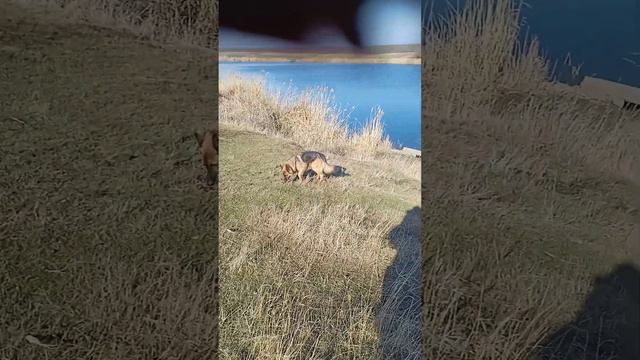 1 февраля 2024 г. смотреть онлайн