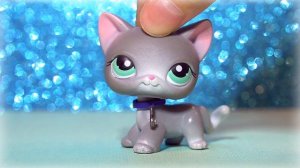 LPS Мои оригинальные редкие кошки . Lps collection cat 2019