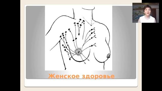 Варикоз и другие заболевания венозной и лимфатической системы смотреть онлайн
