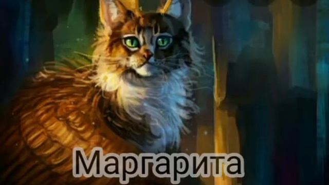 какая ты кошка по имени под заказ смотреть онлайн