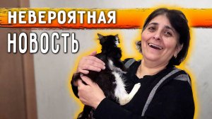 Приехала из Москвы. Новость про Кузю. Ричи убежал. Тишке составили рацион и лечение. Нукер в шоке...