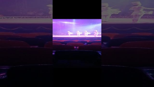 цырк в волгограде