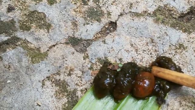 На Лилии странные личинки. смотреть онлайн