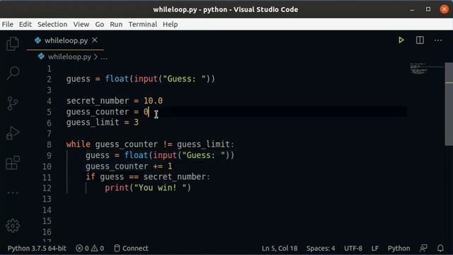 while loops Python смотреть онлайн