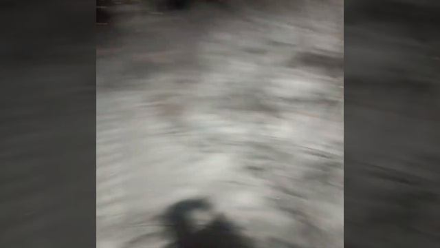 Братская Гэс, лиса утащила сумочку) смотреть онлайн