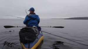 Поньгома '16 : Ловля крокодила