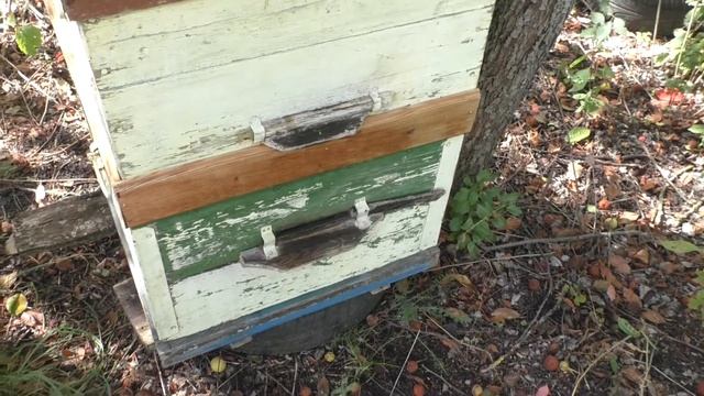 Энергетическое искусство привлечения