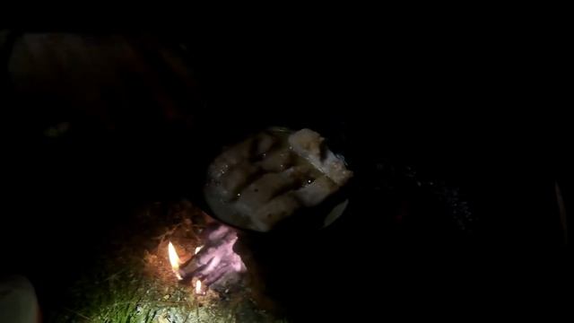 СЕЙМ. РЫБАЛКА И СПЛАВ ПО РЕКЕ. СЕЗОН РЫБОЛОВНЫХ СПЛАВОВ 2016. ЧАСТЬ 2. ЭПИЗОД 1. смотреть онлайн
