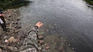 ТИРОЛЬСКАЯ ПАЛОЧКА В ДЕЛЕ