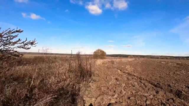 Охота на куропатку. Сезон 2018 смотреть онлайн