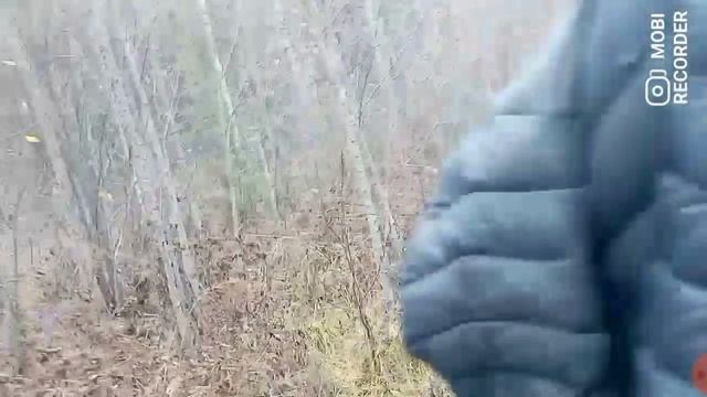 Пробиваемся в лес за клюквой на каракате смотреть онлайн