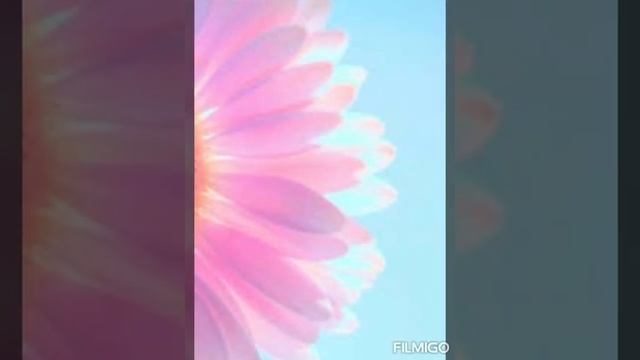 Очень красивые обои на телефон для девочек????/Обои на телефон?/Phone wallpaper ? смотреть онлайн
