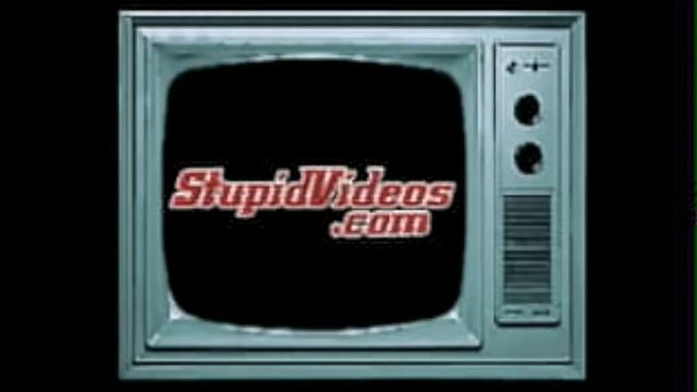 StupidVideos.com Video Intro смотреть онлайн