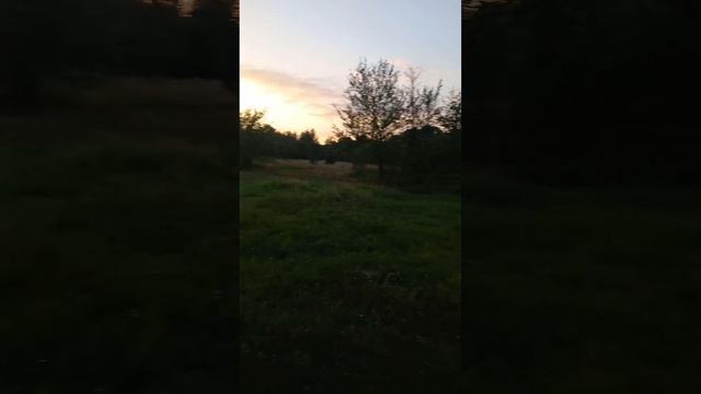 Instasamka - Она выглядит как Мами в городе Апшеронске смотреть онлайн