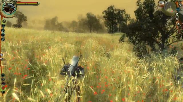 Прохождение The Witcher Enhanced Edition Часть 28 - ПОЛЯ смотреть онлайн