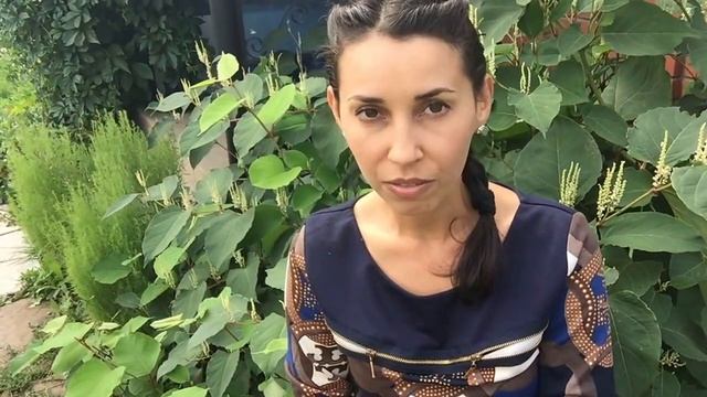 На вакансию "Личный помощник" смотреть онлайн