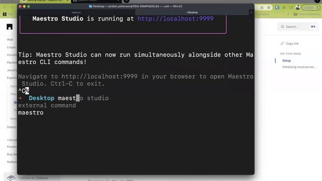 Maestro Demo - Jordan Petersen смотреть онлайн
