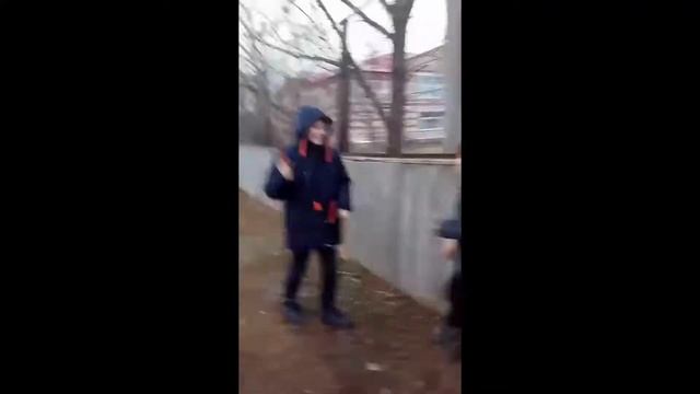 В мире животных. Обезьяна обыкновенная смотреть онлайн
