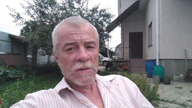 Собака прокусила индюшонка. Что повреждено. Часть 2. смотреть онлайн