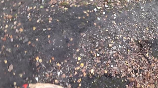 ВЛОГ:НА ЧТО ГОТОВ САНЕК/МЕШОК УГЛЯ НА ГОЛОВУ ДЛЯ ПОДНЯТИЯ ИММУНИТЕТА/ОТВЕТЫ НА КОММЕНТАРИИ!!! смотреть онлайн