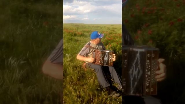 Сторожев Н.Н. - "Наигрыши" на Нижегородской гармони смотреть онлайн
