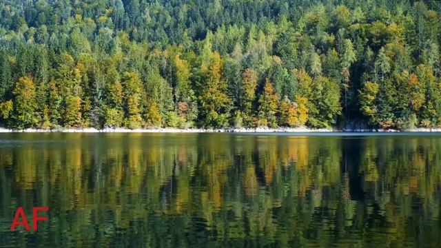 Нуриддин Домла маруза 2024 Nuriddin Domla Maruza 2024 #nuriddindomla #abdullohdomla #maruza